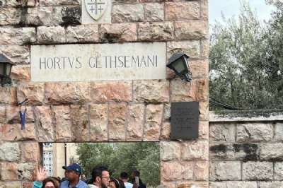 WhatsApp Image 2024-09-24 at 17.07.43 (3).jpeg